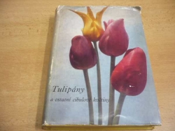 Vlastimil Vaněk - Tulipány a ostatní cibulové květiny (1967)