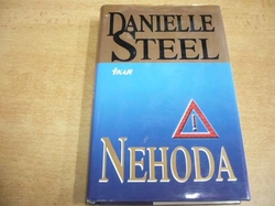 Danielle Steel - Nehoda (2000)