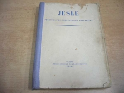 Jesle. Příručka pro zdravotnické pracovníky (1953)