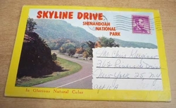 Skyline Drive. Shenandoah National Park. Soubor bar. foto 