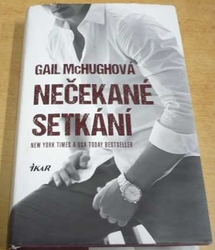 Gail McHughová - Nečekané setkání (2015)