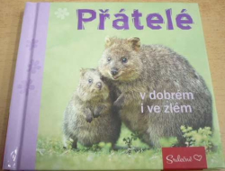 Přátelé v dobrém i ve zlém (2017)