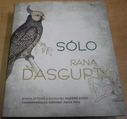 Rana Dasgupta - Sólo (2012)