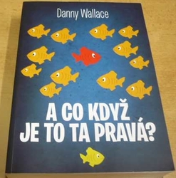 Danny Wallace - A co když je to ta pravá ? (2015)