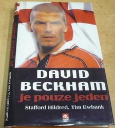 Stafford Hildred - David Beckham je pouze jeden (2003)