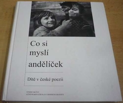 Tomáš Lotocki - Co si myslí andělíček (2004)