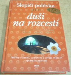 Jack Canfield - Slepičí polévka pro duši na rozcestí (2006)