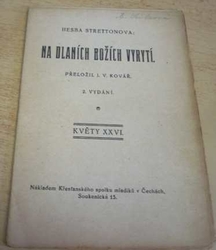 Hesba Strettonová - Na dálnicích božích vyrytí (1902)