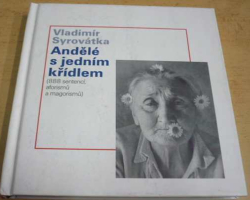 Vladimír Syrovátka - Andělé s jedním křídlem (2008)