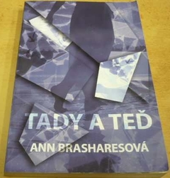 Ann Brashares - Tady a teď (2014)