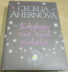 Cecelia Ahernová - Kdybys mě teď viděla (2007)