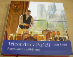 Jan Šmíd - Třicet dní v Paříži (2013)